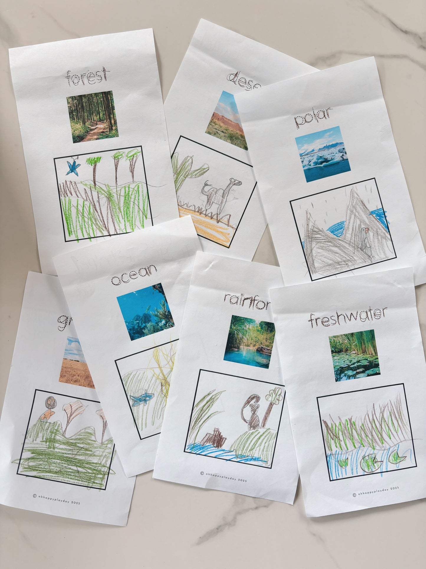 Animal Habitats Booklet