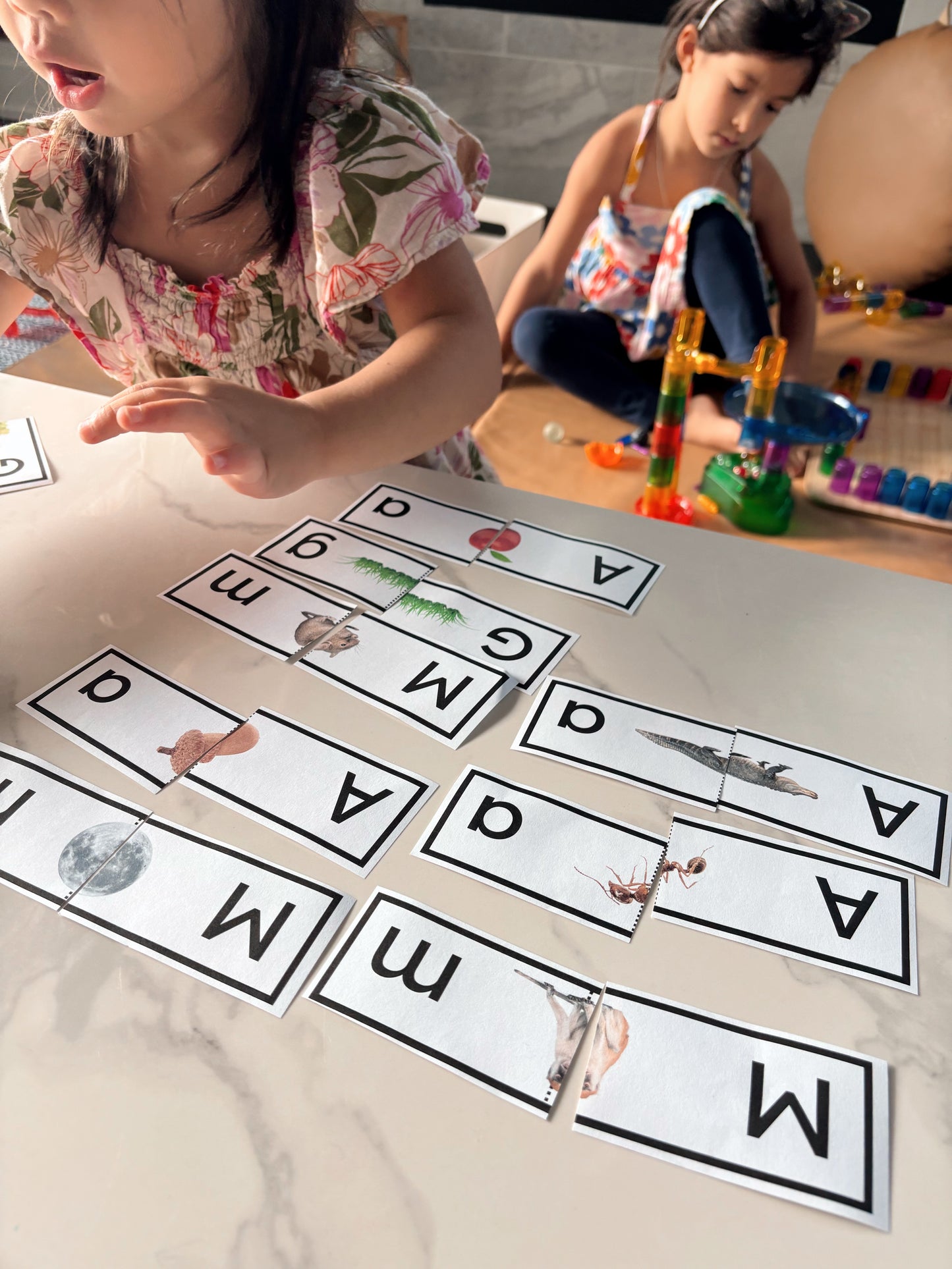 Uppercase to Lowercase Alphabet Match Puzzle - Black Letters