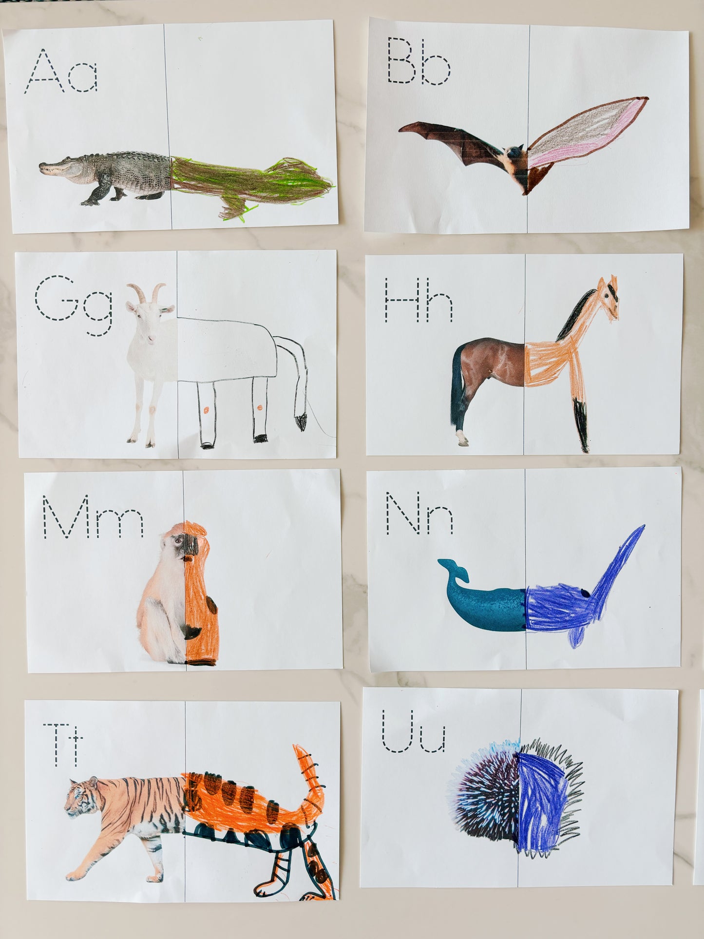 Finish the Half – Animals A-Z