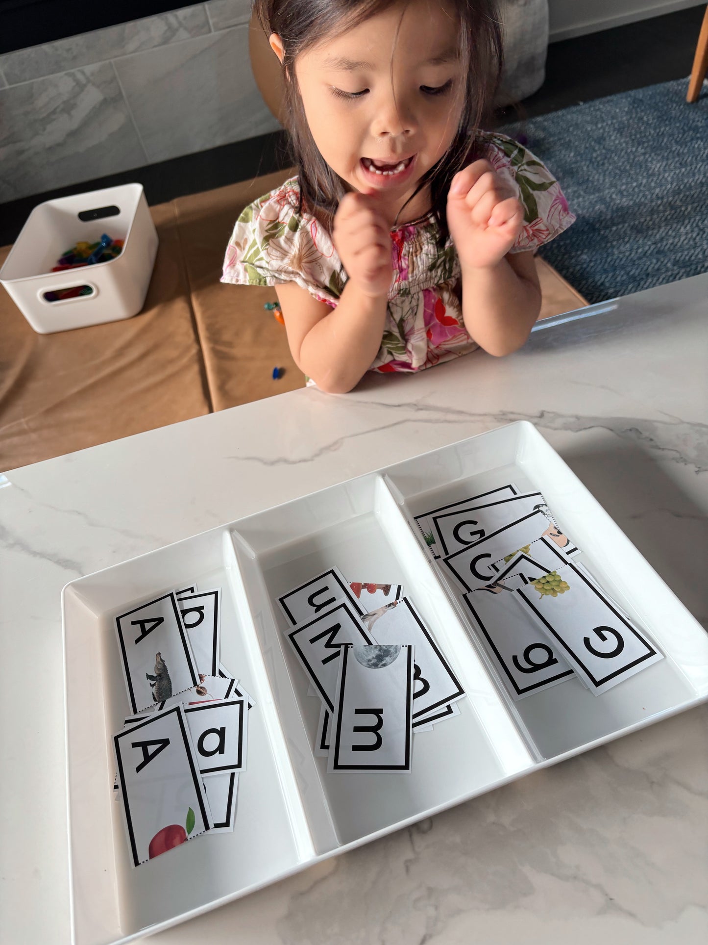 Uppercase to Lowercase Alphabet Match Puzzle - Black Letters