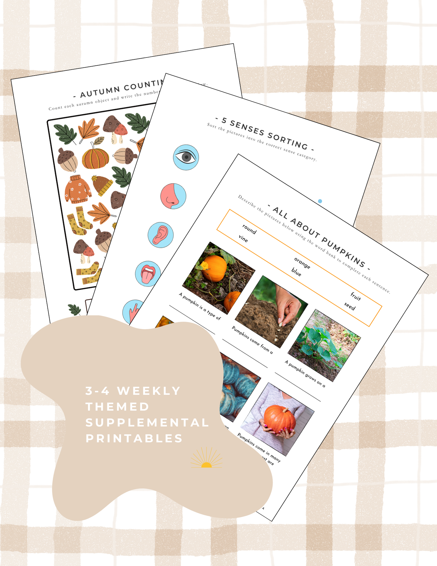 The Playbook - November