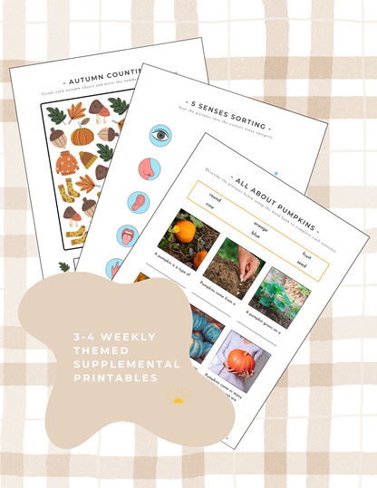 The Playbook - November