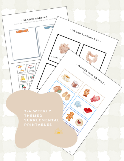 The Playbook - January