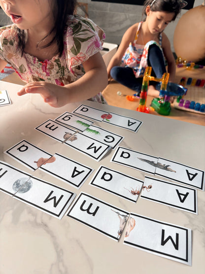 Uppercase to Lowercase Alphabet Match Puzzle - Black Letters